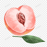 国产无线一线二线APP应用